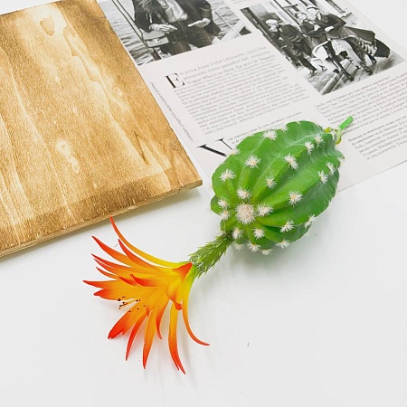 Кактус Грузони с цветком 33 см