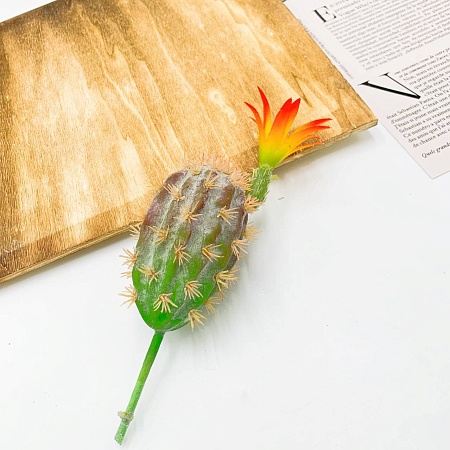 Кактус Грузони припыленный с цветком 22 см